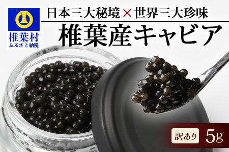 【訳あり】HEIKE CAVIAR 5ｇ 【宮崎県 椎葉村】【世界三大珍味×日本三大秘境】 国産 チョウザメ 訳あり キャビア 5g 魚卵 魚介 珍味 SZ-115