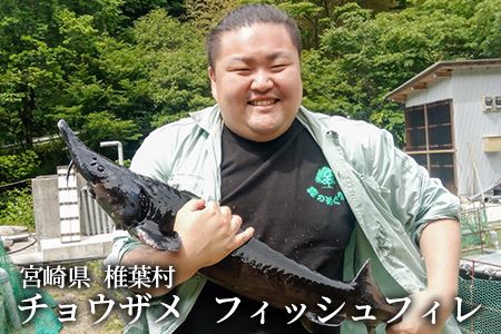 【宮崎県 椎葉産】キャビアフィッシュフィレ 1尾【800g～1.2Kg】国産 チョウザメ フィレ 魚介 SZ-119