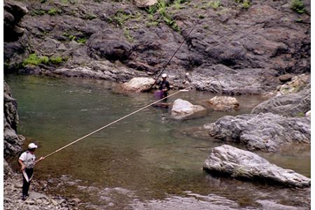 【先行受付：令和8年版】【椎葉での渓流釣りを楽しむ】遊漁許可証(年券) 耳川水系【釣り好き必見】宮崎県 椎葉村 遊漁券 遊漁許可証 釣り 川 年券 耳川水系 川魚 ヤマメ ヤマメ釣り 体験 GK-1