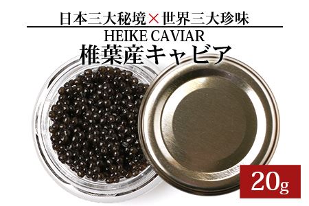 【訳あり】HEIKE CAVIAR 20ｇ 【宮崎県 椎葉村】フレッシュキャビア 【世界三大珍味×日本三大秘境】国産 チョウザメ 訳あり キャビア 20g 魚卵 魚介 珍味 SZ-117