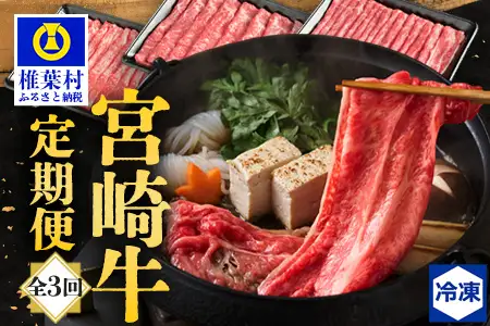 牛肉 【定期便 3回】受賞歴多数!! 宮崎牛を3ヶ月で合計1.85キロ 宮崎牛づくし 定期便 牛肉 MT-37
