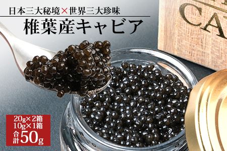 【桐箱入り】HEIKE CAVIAR 50ｇ 【宮崎県 椎葉村】 チョウザメ キャビア【世界三大珍味×日本三大秘境】 チョウザメ キャビア 50g 魚卵 魚介 珍味 SZ-106