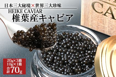 【桐箱入り】HEIKE CAVIAR 70ｇ 【宮崎県 椎葉村】 チョウザメ キャビア【世界三大珍味×日本三大秘境】国産 チョウザメ キャビア 70g 魚卵 魚介 珍味 SZ-109