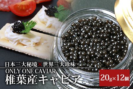 HEIKE CAVIAR 20g×12箱 【合計240g】【宮崎県 椎葉村】 チョウザメ キャビア【世界三大珍味×日本三大秘境】国産 チョウザメ キャビア 魚卵 魚介 珍味 SZ-114