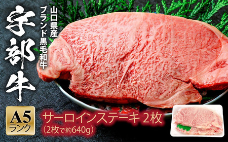 ★離島配送不可★【宇部牛】サーロインステーキ 2枚 640g｜牛肉 焼肉 ステーキ【AX01_1】