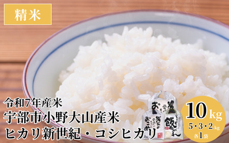 令和7年産 宇部市小野『大山産米』　精米10kg ヒカリ新世紀 コシヒカリ