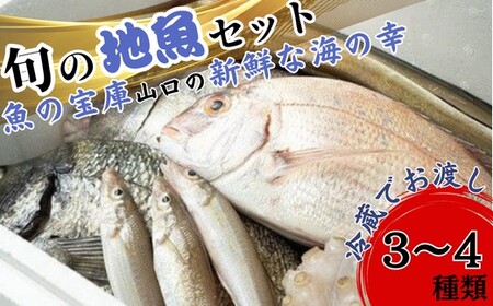 【着日指定必須】★北海道・沖縄県・離島配送不可★【魚千代】地魚詰合せ（魚 新鮮 鮮魚 海鮮 小分け 冷蔵 詰め合わせ おまかせ）BA04-FN