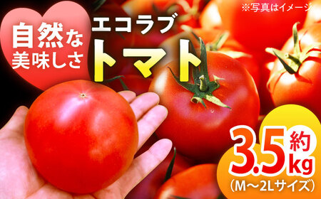 トマト【5月上旬から順次発送】エコラブ トマト （20から24玉入）約3.5kg[AGBN012]