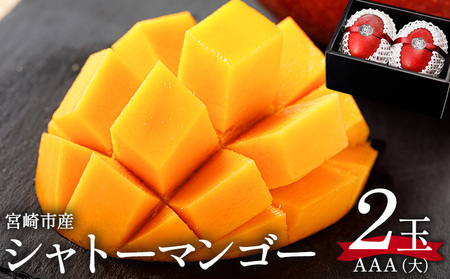 《2026年発送先行予約》【数量・期間限定】シャトーマンゴー(大) AAA 2玉 宮崎マンゴー シャトーマンゴー フルーツ 果物 果実 スイーツ 完熟 まんごー くだもの ギフト 人気 おすすめ 特産品 お土産 土産 手土産