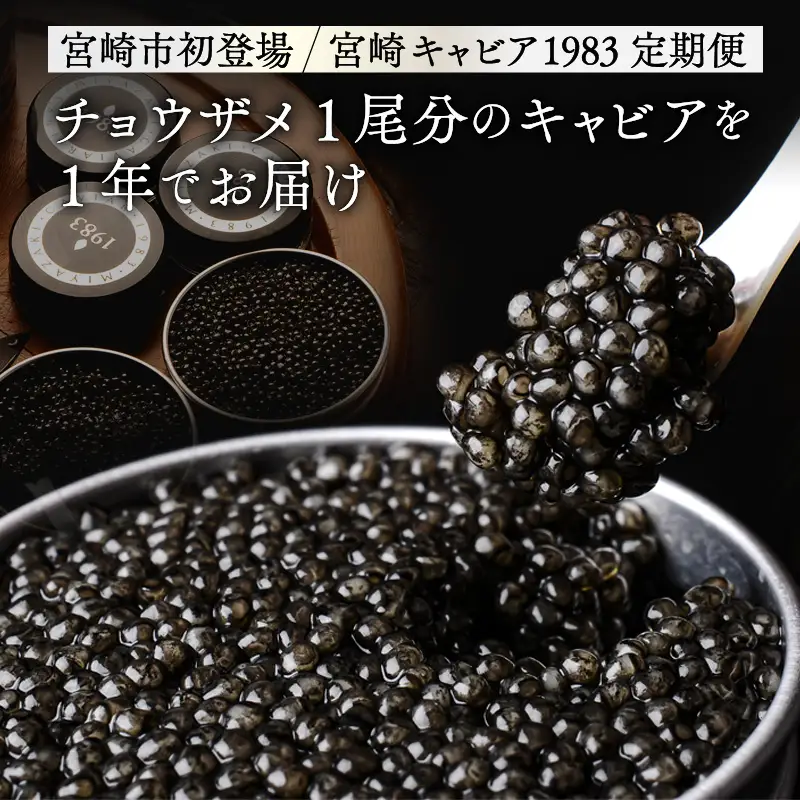 【定期便全4回】チョウザメ1尾分のキャビアを1年でお届け 定期便 国産 宮崎県産 キャビア 4回 チョウザメ 長期熟成 珍味 ギフト 化粧箱入り