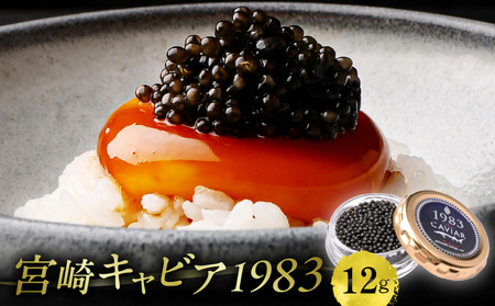 宮崎 キャビア 1983 (12g)｜キャビア 魚卵