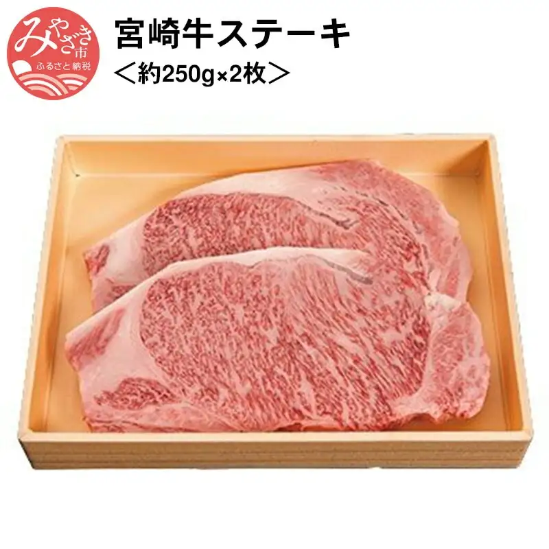 牛肉 ステーキ 牛肉[宮崎牛 500g]