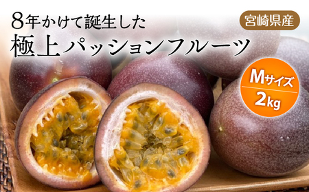 《2026年発送先行予約》【数量・期間限定】8年かけて誕生した宮崎県産極上パッションフルーツＭ 2kg 国産 宮崎県産 パッションフルーツ 旬の果物 季節の果物 果物 フルーツ 完熟 贈答 贈り物 ギフト グルメ お取り寄せ