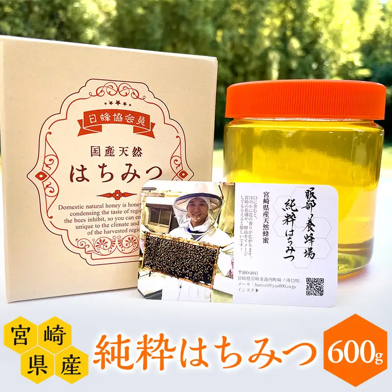 【数量限定】宮崎県産純粋はちみつ(600g×1本) はちみつ 純粋 蜂
