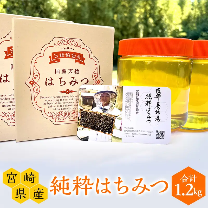 【数量限定】宮崎県産純粋はちみつ(600g×2本) 国産 蜂蜜 ハチミツ はちみつ 600g 2本 天然 純粋 純粋蜂蜜 純粋はちみつ 天然蜂蜜 ミツバチ 蜜蜂 パン ヨーグルト 紅茶 グルメ お取り寄せ ギフト