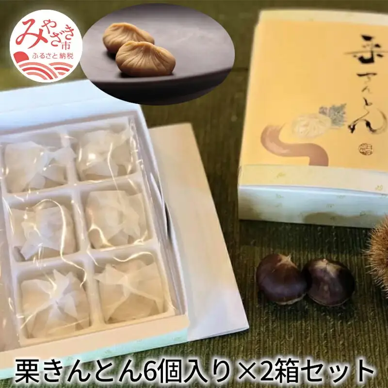 栗きんとん6個入り×2箱セット 栗きんとん 2箱 12個 栗 きんとん 栗餡 栗あん 秋 菓子 お菓子 和菓子 個包装 冷凍 スイーツ ギフト お取り寄せ