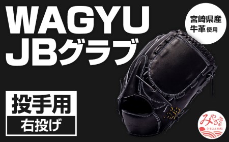 宮崎県産牛革使用 WAGYU JB 硬式用 グラブ 投手用 JB-001Y(ブラック/右投げ用)
