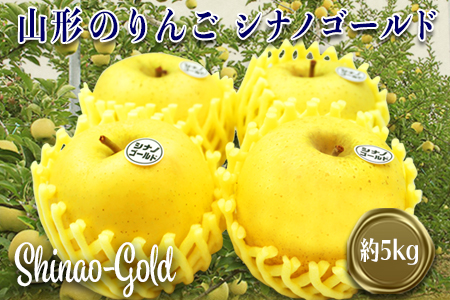 【2026年発送】山形のりんご（シナノゴールド）約5kg_H120(R8)