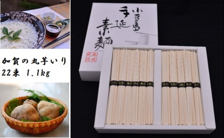 【 小豆島 】加賀の丸芋いり小豆島手延べ素麺 1.1kg 約15人前 麺類 そうめん 