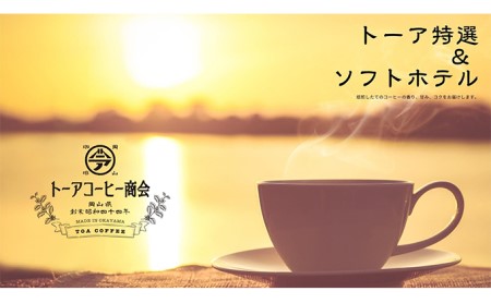 自家焙煎 コーヒー 1kg（500g×2袋）トーア特選ブレンド 1袋 ソフトブレンド 1袋 トーアコーヒー商会 ブレンドコーヒー 焙煎 珈琲 飲料類 コーヒー豆 珈琲豆 コーヒー粉 1kg  細挽き