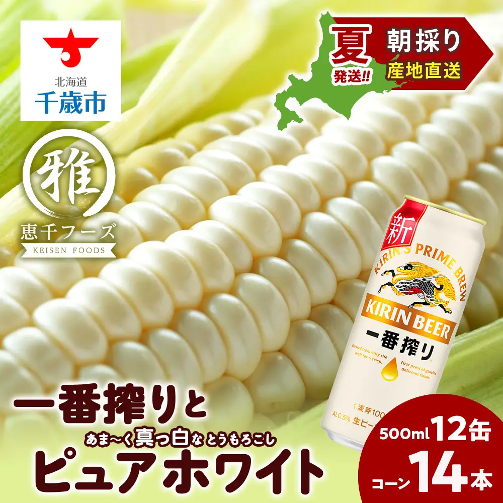 2026年夏発送 キリン一番搾り 500ｍl 12缶＆白いとうもろこしピュアホワイト14本