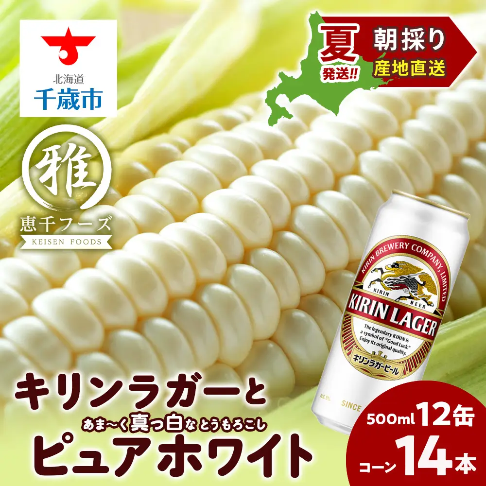 2026年夏発送 キリンラガービール 500ｍl 12缶＆白いとうもろこしピュアホワイト14本