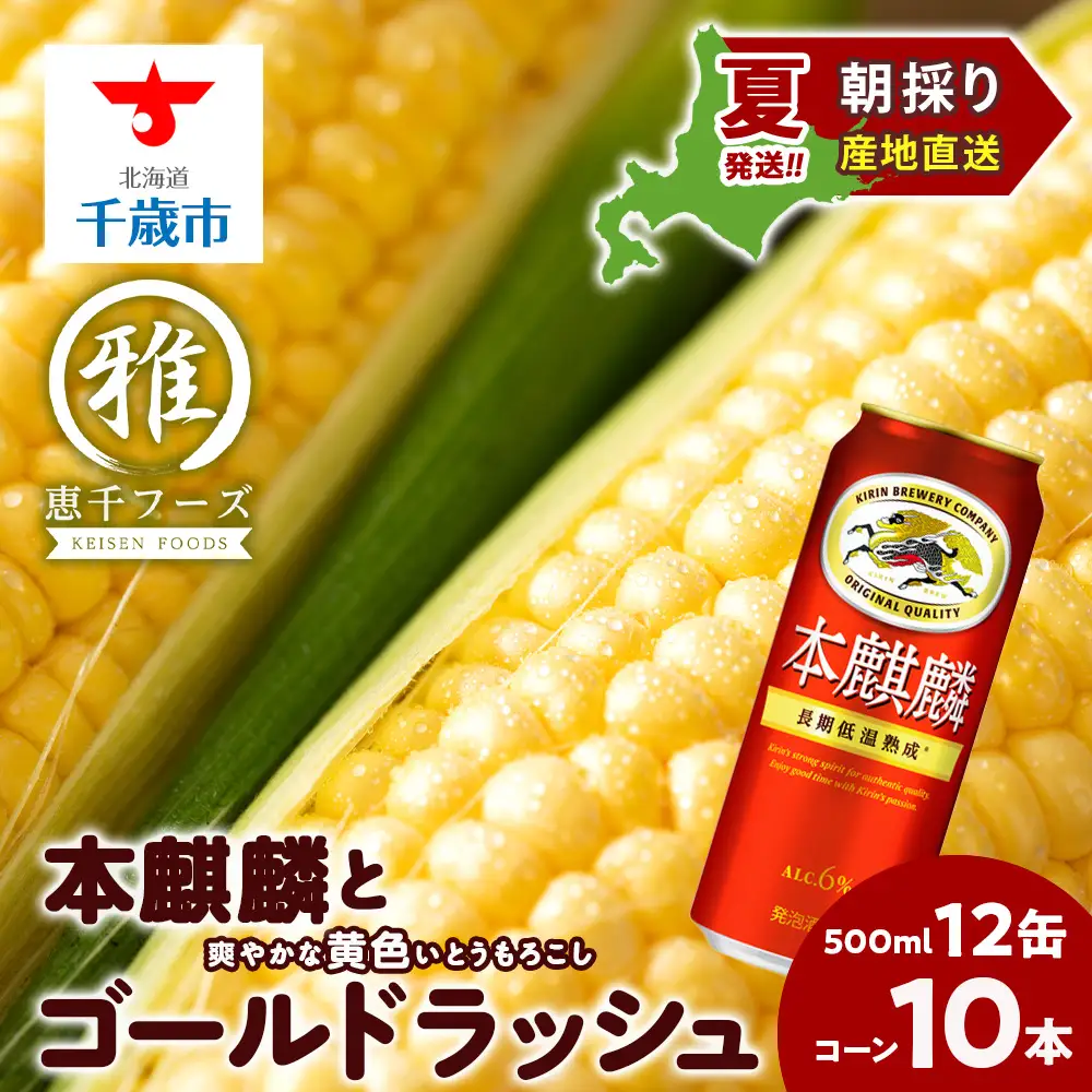 2026年夏発送 キリン本麒麟500ｍl 12缶＆黄色いとうもろこしゴールドラッシュ10本