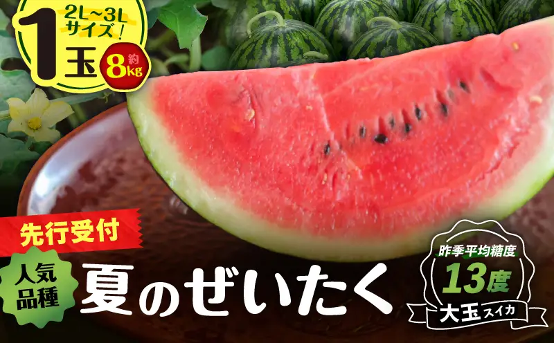 【 高糖度 】 三浦 の 大玉 スイカ 1玉【 露地栽培 】 M072-001-01 【 期間限定 】 果物 すいか