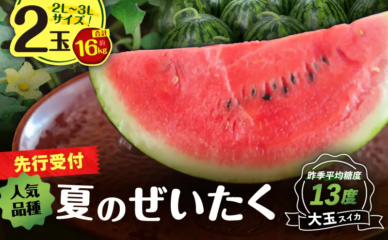 【 高糖度 】三浦 の 大玉 スイカ 2玉【 露地栽培 】 M072-001-02 【 期間限定 】 果物 すいか