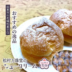 50年変わらない味！地元で人気のシュークリーム15個_1756R