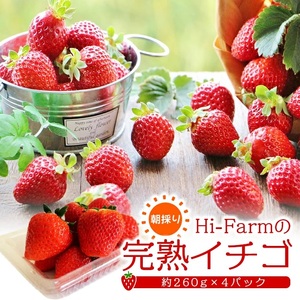 SA2813　Hi-Farmの完熟いちご　約260g×4パック