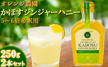  蜂蜜 生姜  カボス ドリンク はちみつ しょうが かぼす ／ オレンジ農園のかぼすジンジャーハニー 2本セット ＜108-002＞ 