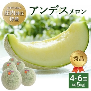 SA2947　庄内砂丘の旬夏　「秀品 アンデスメロン」　約5kg(青肉/4～6玉入)