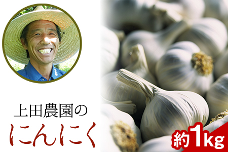 『上田農園』のにんにく約1kg 熊本県玉名郡玉東町『上田農園』にんにく《7月上旬-9月中旬頃出荷》