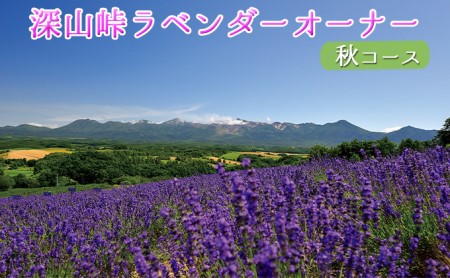 【令和8年】ラベンダーオーナー制度（秋コース） チケット 入場券 優待券 野菜 セット 詰合せ アロマグッズ 
