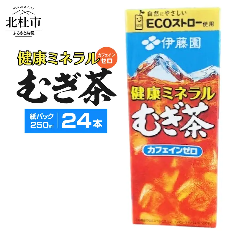 健康ミネラルむぎ茶　250ml　24本　伊藤園　紙パック  麦茶 カフェインゼロ 1ケース24本 ドリンク 配達 仕送りギフト 防災 7000 10000円以下 1万円以下 [h132]