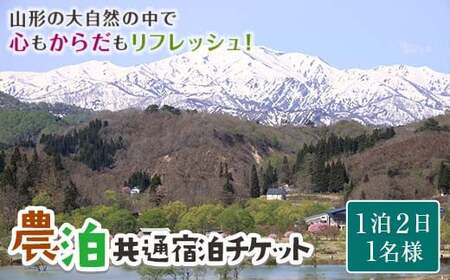 農家のお宿に泊まって農山村を楽しむ！「農泊」共通宿泊チケット F2Y-2010