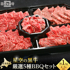＜期間限定・ソーセージ1袋付（お試し品）＞北海道産星空の黒牛 厳選5種BBQセット1kg　|  BBQ