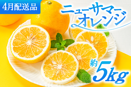 AA115.福岡柑橘王国.ニューサマーオレンジ約5kg／2027年4月配送