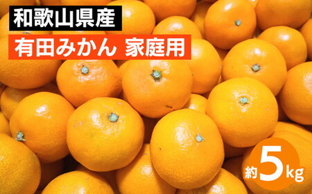 【先行予約】 有田みかん 家庭用 約5kg サイズ混合 和歌山県産