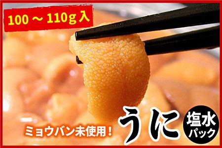 エゾバフンウニ(黄色)塩水パック100～110g×1P C-07021