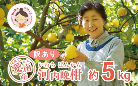 訳あり 河内晩柑 5kg みかん あいなんマザーズ