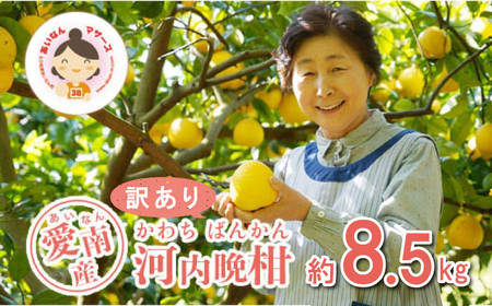 訳あり 河内晩柑 8.5kg みかん あいなんマザーズ