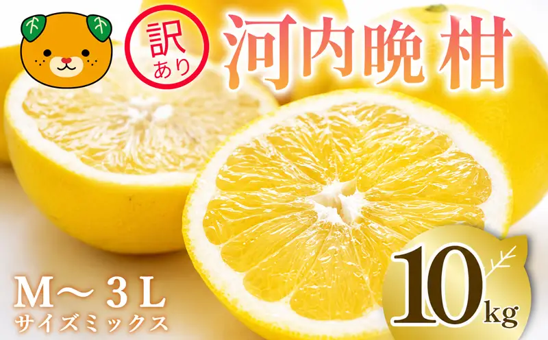 訳あり 河内晩柑 愛南ゴールド 10kg 河内晩柑 清家bv