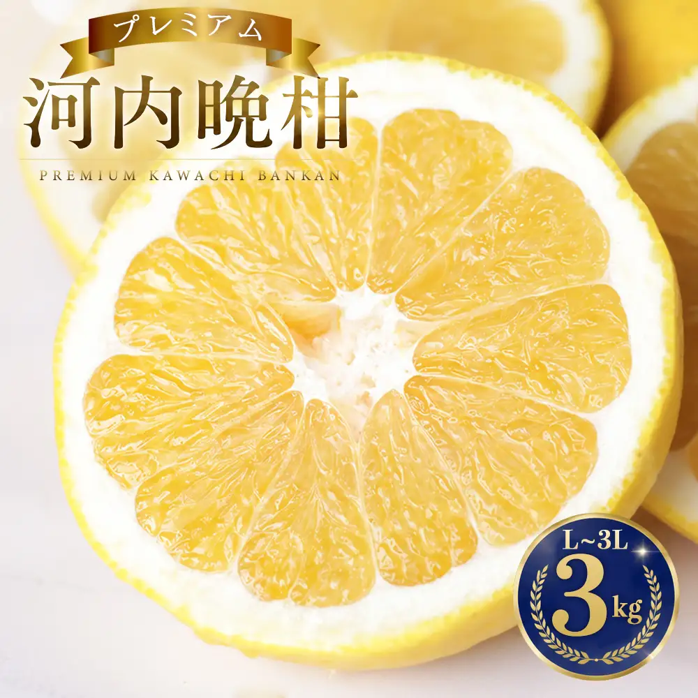 プレミアム 河内晩柑 3kg 河内晩柑 清家ばんかんビレッジ