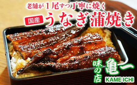 国産うなぎ 鰻 蒲焼 うなぎ