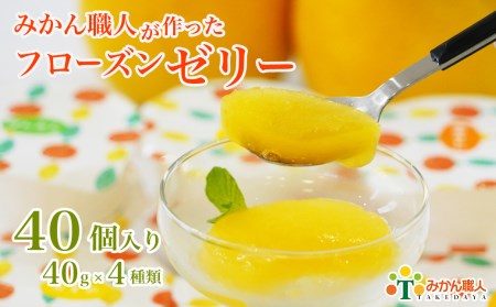 柑橘 フローズン ゼリー 40個 ゼリー みかん職人武田屋