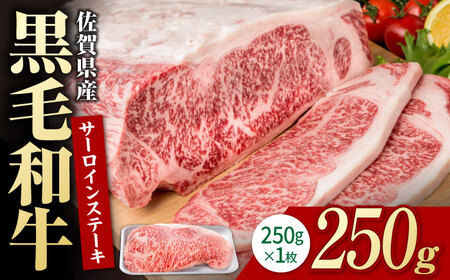 佐賀県産 サーロインステーキ 250g  黒毛和牛 ステーキ IAG015