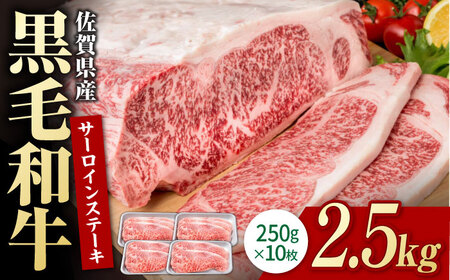 佐賀県産 黒毛和牛 サーロインステーキ 2.5kg / サーロイン [IAG019]