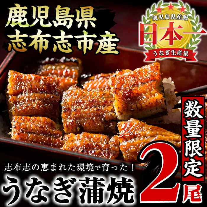 【数量限定】うなぎの大楠＜小＞2尾セット計220g以上(110g以上×2) a1-071